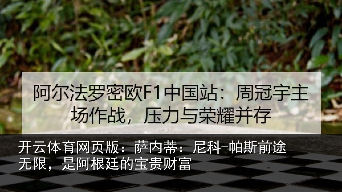 开云体育网页版:萨内蒂:尼科相关情况根廷的宝贵财富