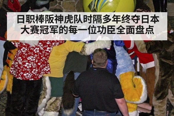 日职棒阪神虎队时隔多年终夺日本大赛冠军的每一位功臣全面盘点